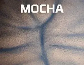 Mocha – Metallic Color coating color