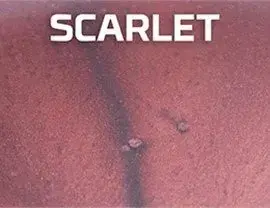 Scarlet – Metallic Color coating color